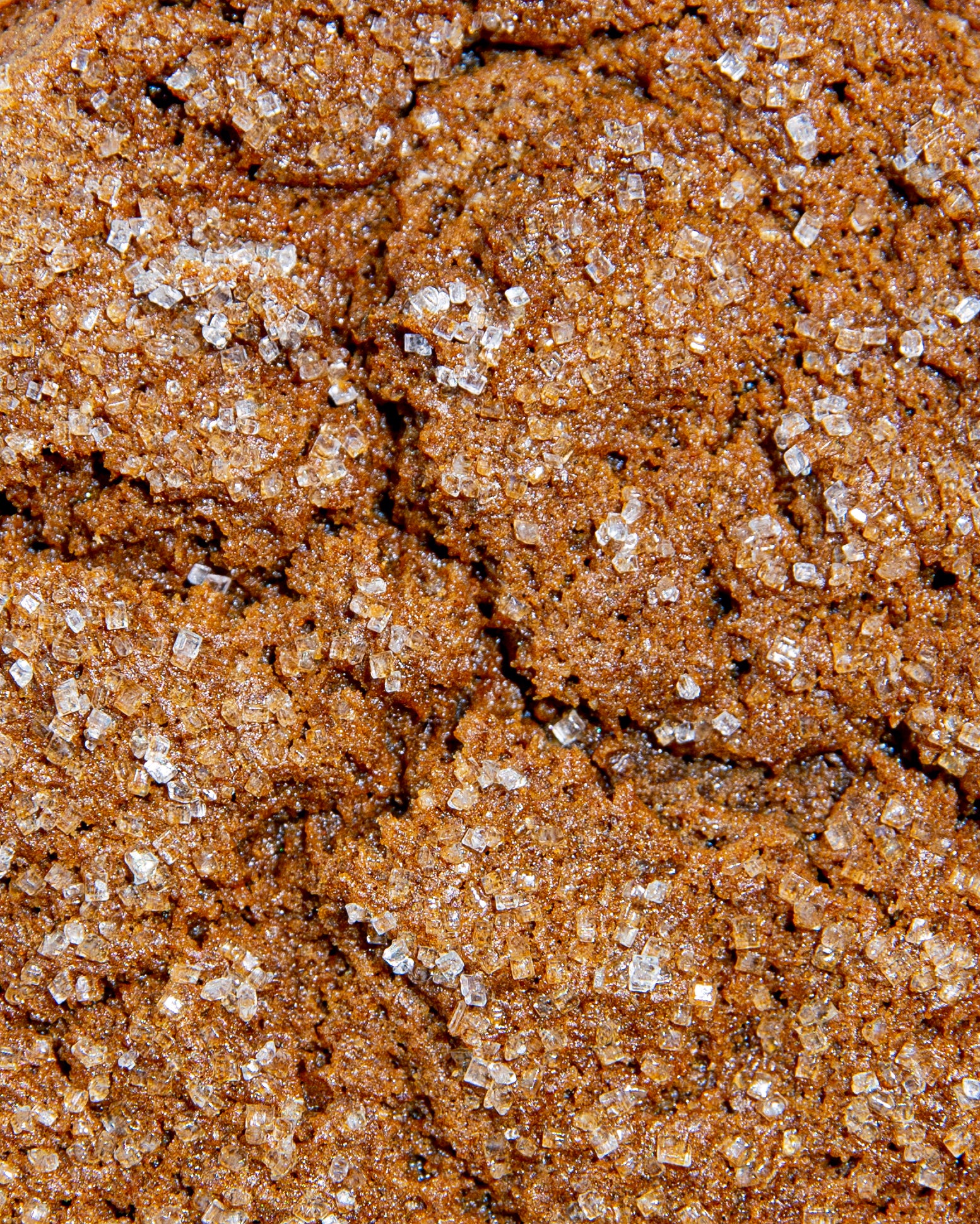 Gingersnap Cookie