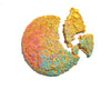 Cake Cookie