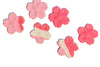 Mighty Minis - Cherry Blossom Shortbread